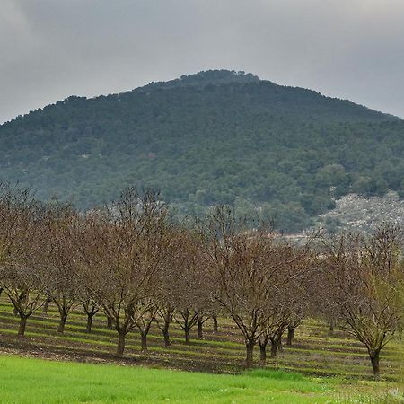 Pearl Of The Valley Hotel Kfar Tavor Exterior foto