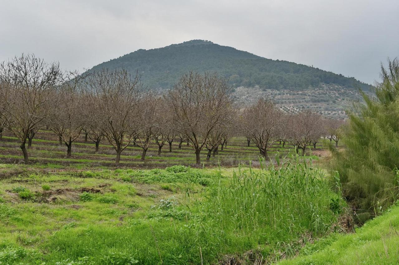 Pearl Of The Valley Hotel Kfar Tavor Exterior foto